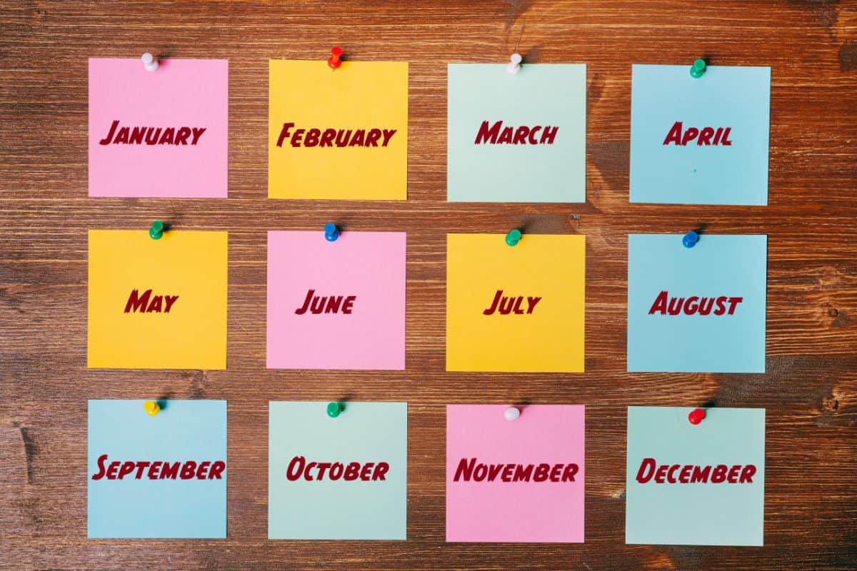 The 12 Months of the Year